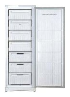 Морозильная камера Indesit SFR 167