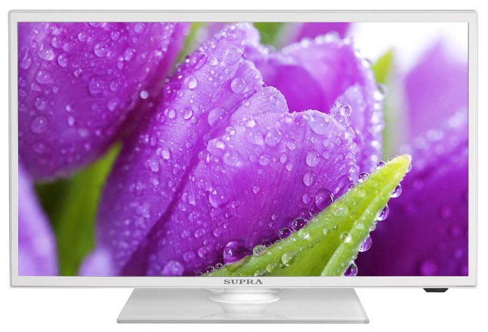 Телевизор SUPRA STV-LC22T551FL																		 — описание, фото, цены в интернет-магазине PT Stores