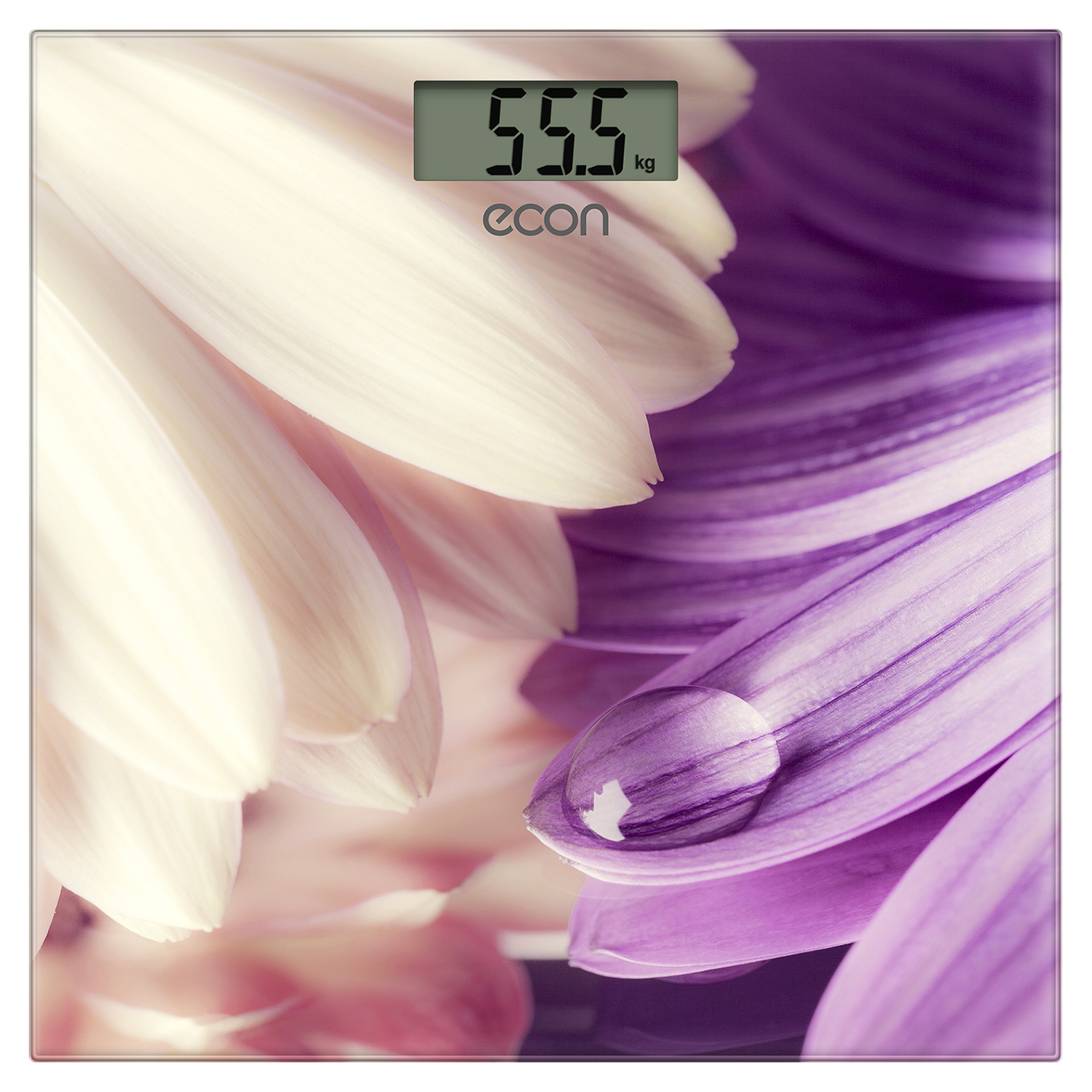 Напольные весы ECON ECO-BS009																		 — описание, фото, цены в интернет-магазине PT Stores