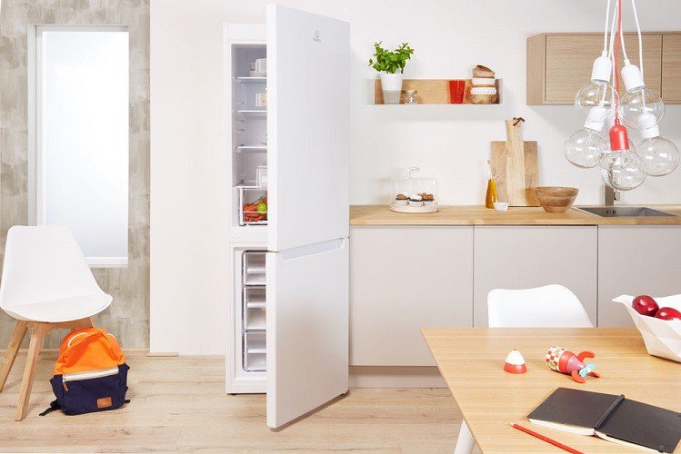 Купить Двухкамерный холодильник Indesit DS 4200 W — Фото 7