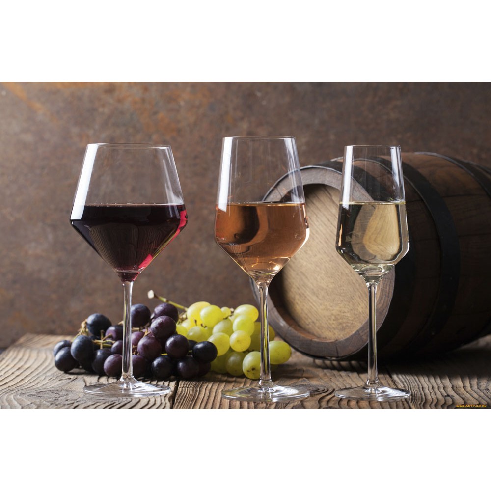 Купить Винный шкаф CASO WineChef Pro 126 — Фото 10