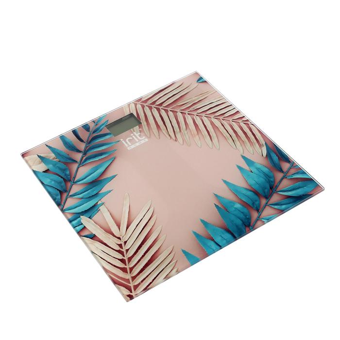 Напольные весы IRIT IR 7270																		 — описание, фото, цены в интернет-магазине PT Stores