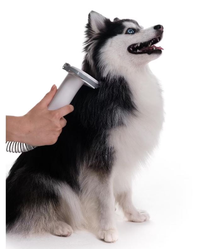 Купить Пылесос Haier PetPure M Pro — Фото 7