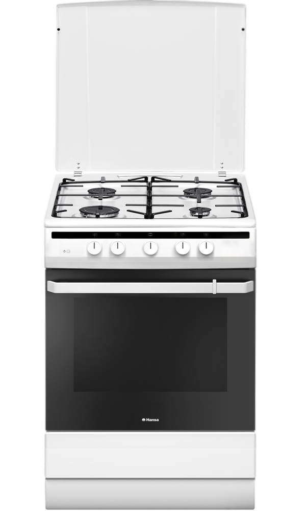 Газовая плита Hansa FCGW 61000																		 — описание, фото, цены в интернет-магазине PT Stores