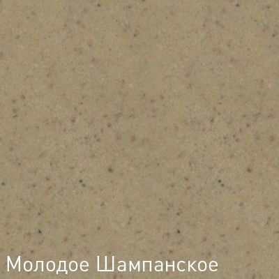 Купить Мойка ZIGMUND-SHTAIN Platz 425 МОЛОД.ШАМП — Фото 2