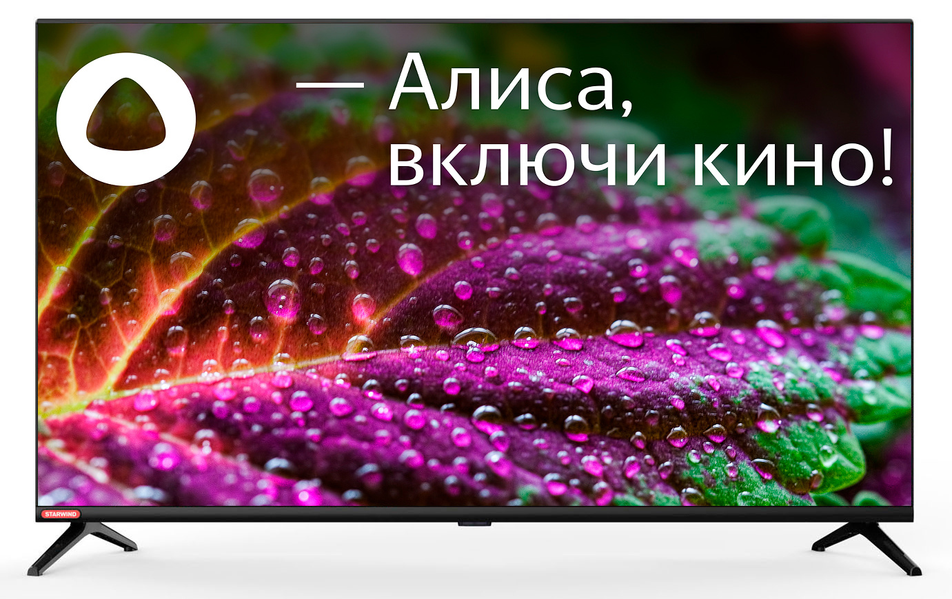 Телевизор Starwind SW-LED40SG300 Smart Яндекс																		 — описание, фото, цены в интернет-магазине PT Stores