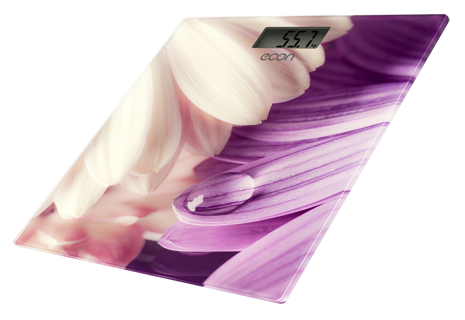 Купить Напольные весы ECON ECO-BS009 — Фото 2