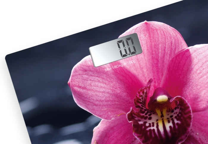 Купить Напольные весы CENTEK CT-2421 — Фото 3