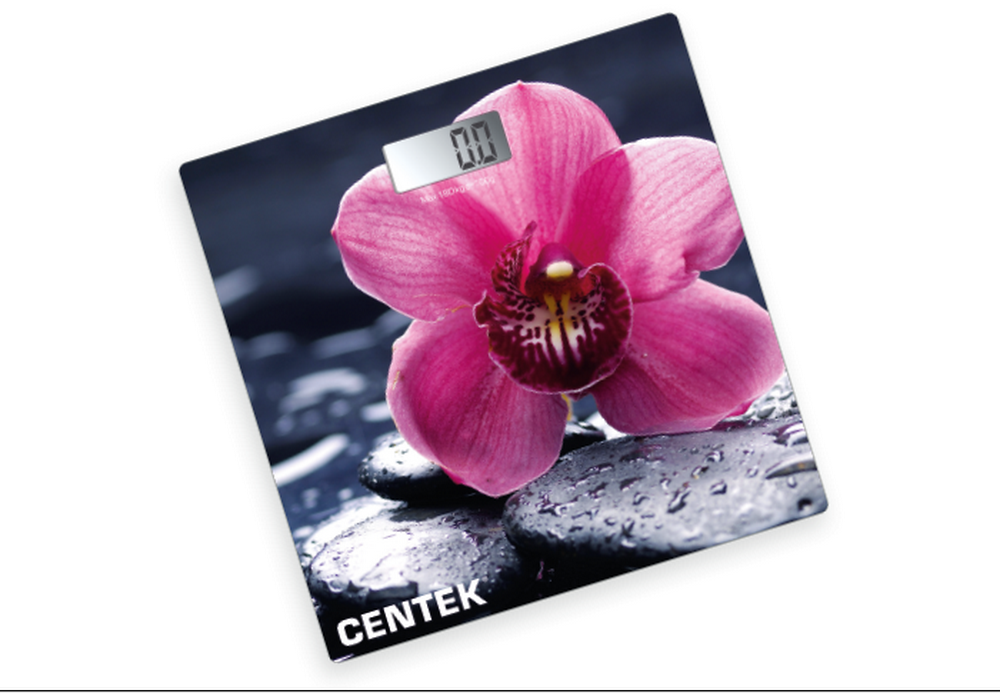 Напольные весы CENTEK CT-2421																		 — описание, фото, цены в интернет-магазине PT Stores