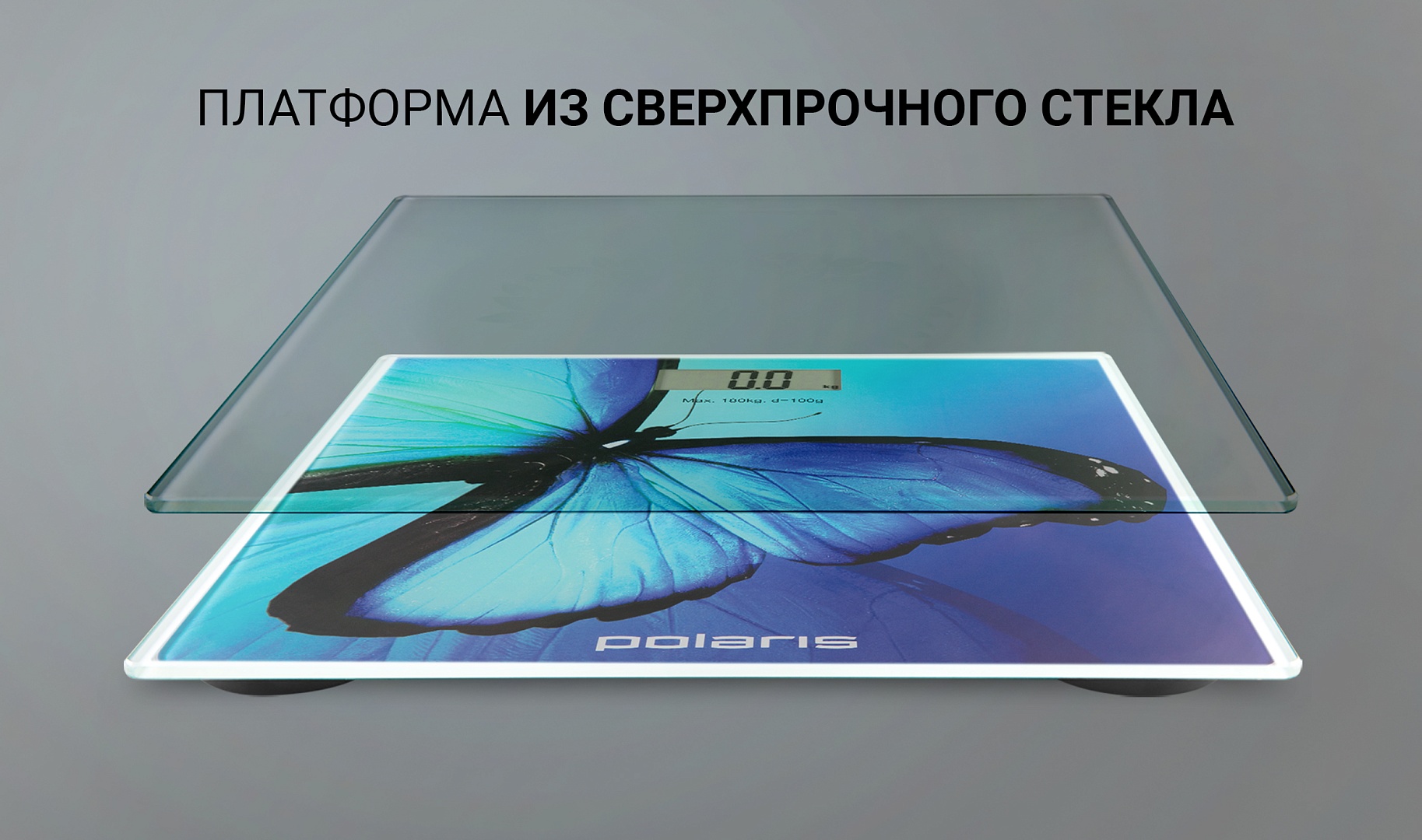 Купить Напольные весы POLARIS PWS 1878DG — Фото 7