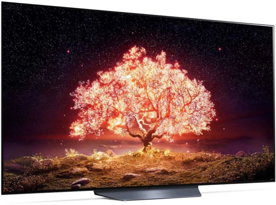 Купить Телевизор LG OLED65B1RLA — Фото 9