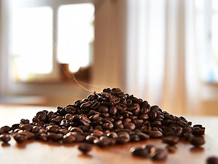 20000119129-000-00_20000119129.jpg 20000119129-000-00_20000119129.jpg