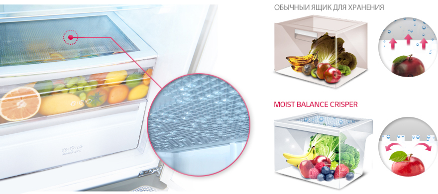 Feat_Balance-crisper_GR-N319LL.jpg
