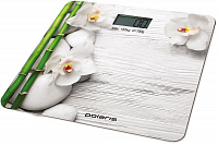 Напольные весы POLARIS PWS 1863DG