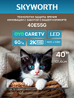 Телевизор SKYWORTH 40E55G