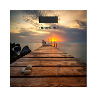 Напольные весы Redmond RS-752 рисунок/причал