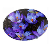 Напольные весы HOME-ELEMENT HE-SC908 синие крокусы