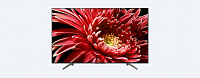 Телевизор SONY KD75XG8596