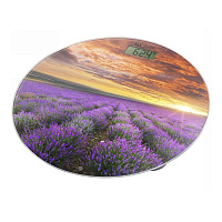 Напольные весы HOME-ELEMENT HE-SC908 вересковый луг