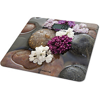 Напольные весы POLARIS PWS 1867DG рисунок