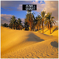 Напольные весы Viconte VC-522-02