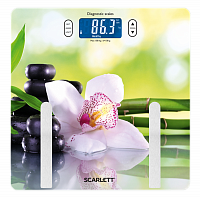 Напольные весы Scarlett SC-BS33ED10