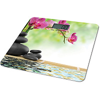 Напольные весы POLARIS PWS 1868DG