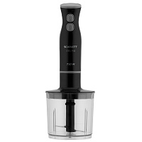 блендеры Scarlett SC-HB42F62