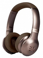 JBL V310GABT brouwn