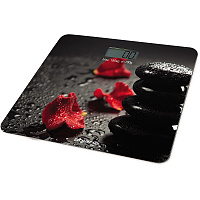 Напольные весы POLARIS PWS 1865DG