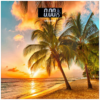 Напольные весы Viconte VC 522-01