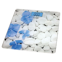 Напольные весы BBK BCS3002G белый/голубой