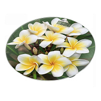 Напольные весы HOME-ELEMENT HE-SC908 белые плюмерии