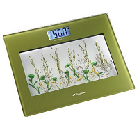 Напольные весы BINATONE BS 8050G