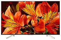 Телевизор SONY KD49XF8596